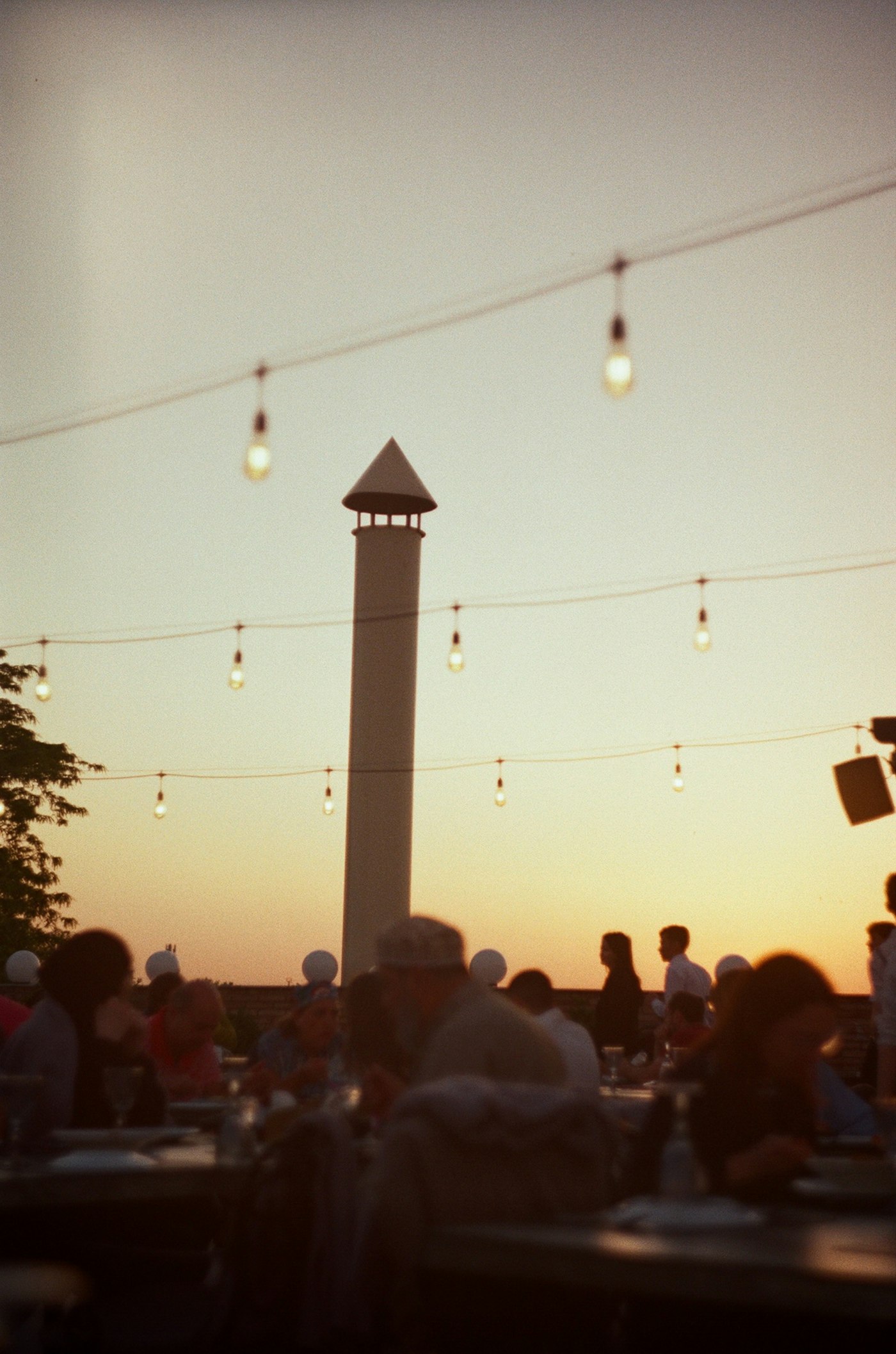 Dinner under the garden lights